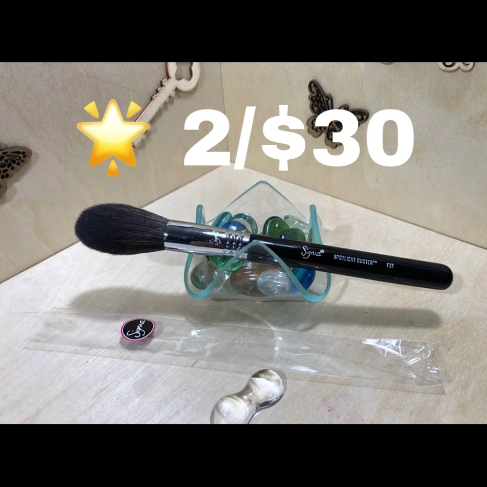 🌟 Spotlight Duster F37 Brush